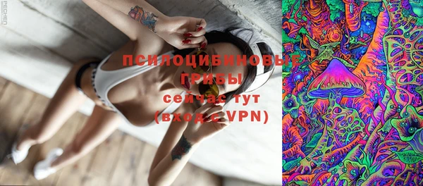 бошки Березники