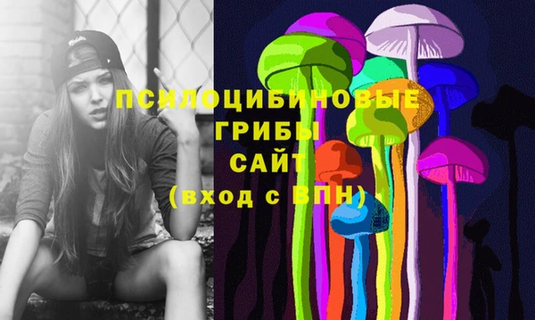 бошки Березники
