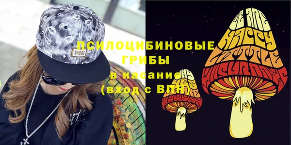 ГАЛЛЮЦИНОГЕННЫЕ ГРИБЫ Домодедово