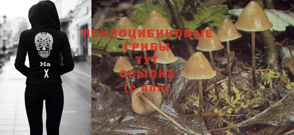 бошки Березники