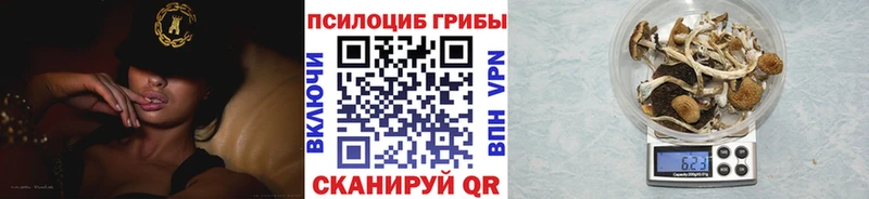 даркнет сайт  KRAKEN рабочий сайт  Псилоцибиновые грибы Cubensis  Чулым 