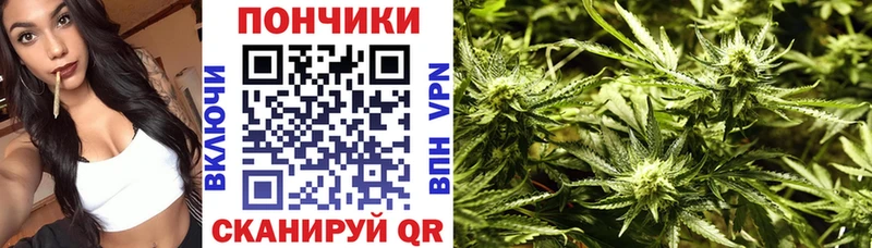 где можно купить наркотик  ссылка на мегу ONION  Шишки марихуана планчик  Чулым 